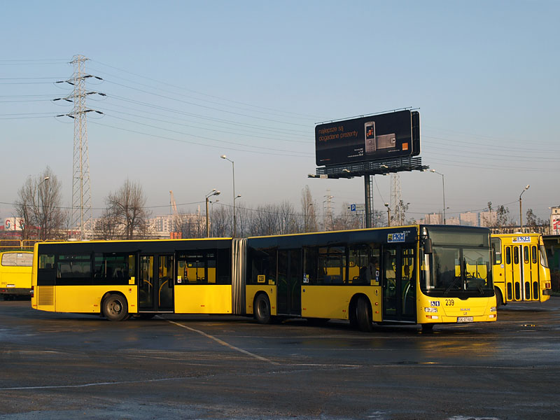 MAN NG313 Lion's City G PKM Katowice #239