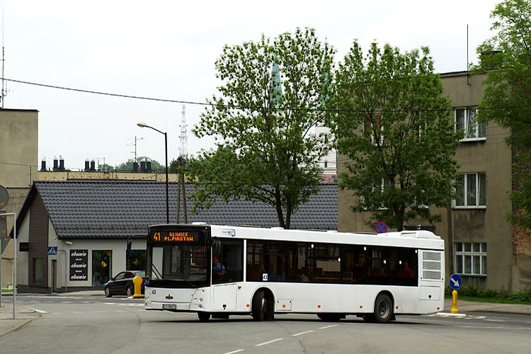 MAZ 203 Pawelec Biech�w #43