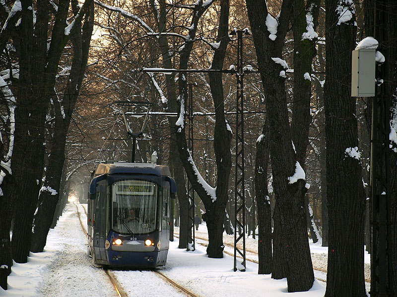 Alstom 116Nd Tramwaje �l�skie #808