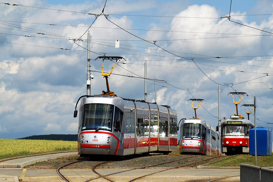 �koda 13T DPMB Brno #1905