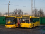 Jelcz M121M oraz Jelcz M125M PKM Katowice #091 oraz #194