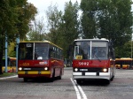 Ikarus 260.73A, Ikarus 280.26 MZA Warszawa #6319, #9002